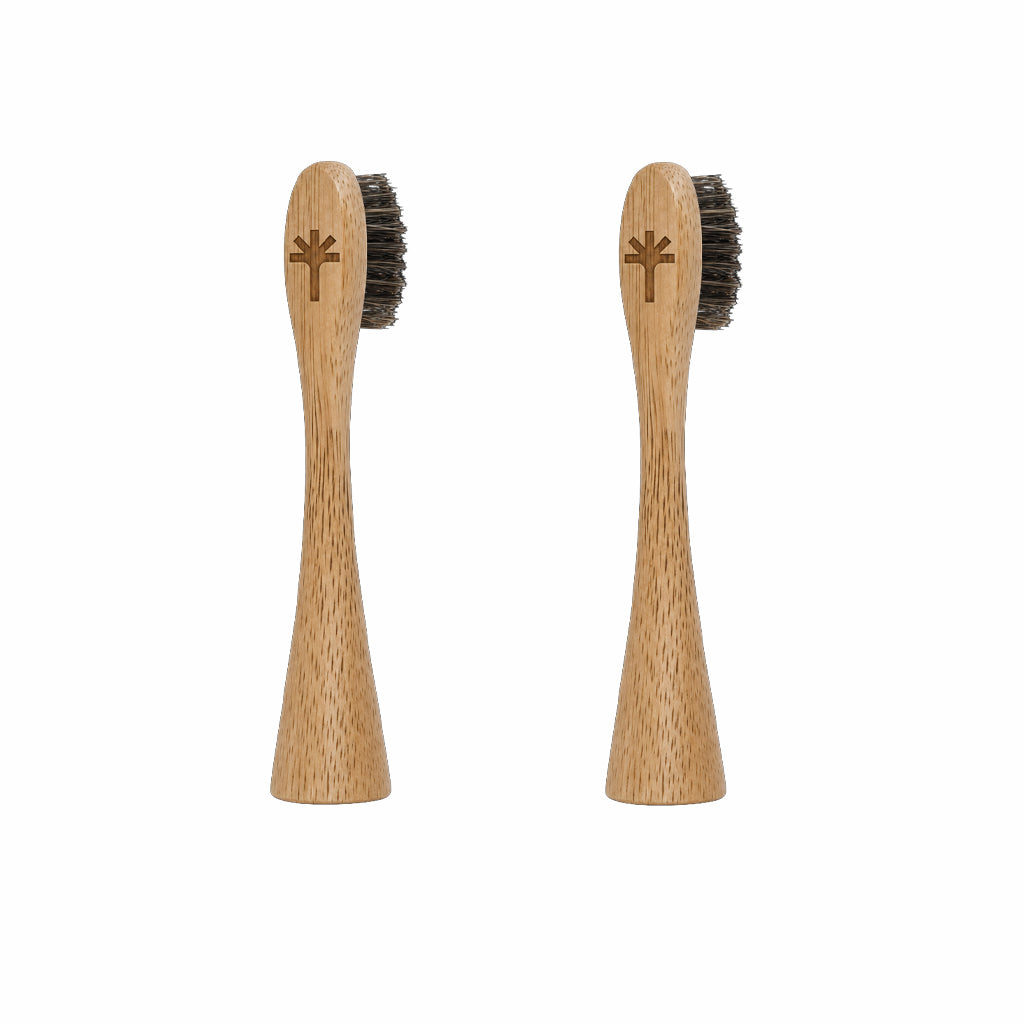 Horse Hair Bristle Bamboo Replacement Toothbrush Heads 2 Pack | Thallō