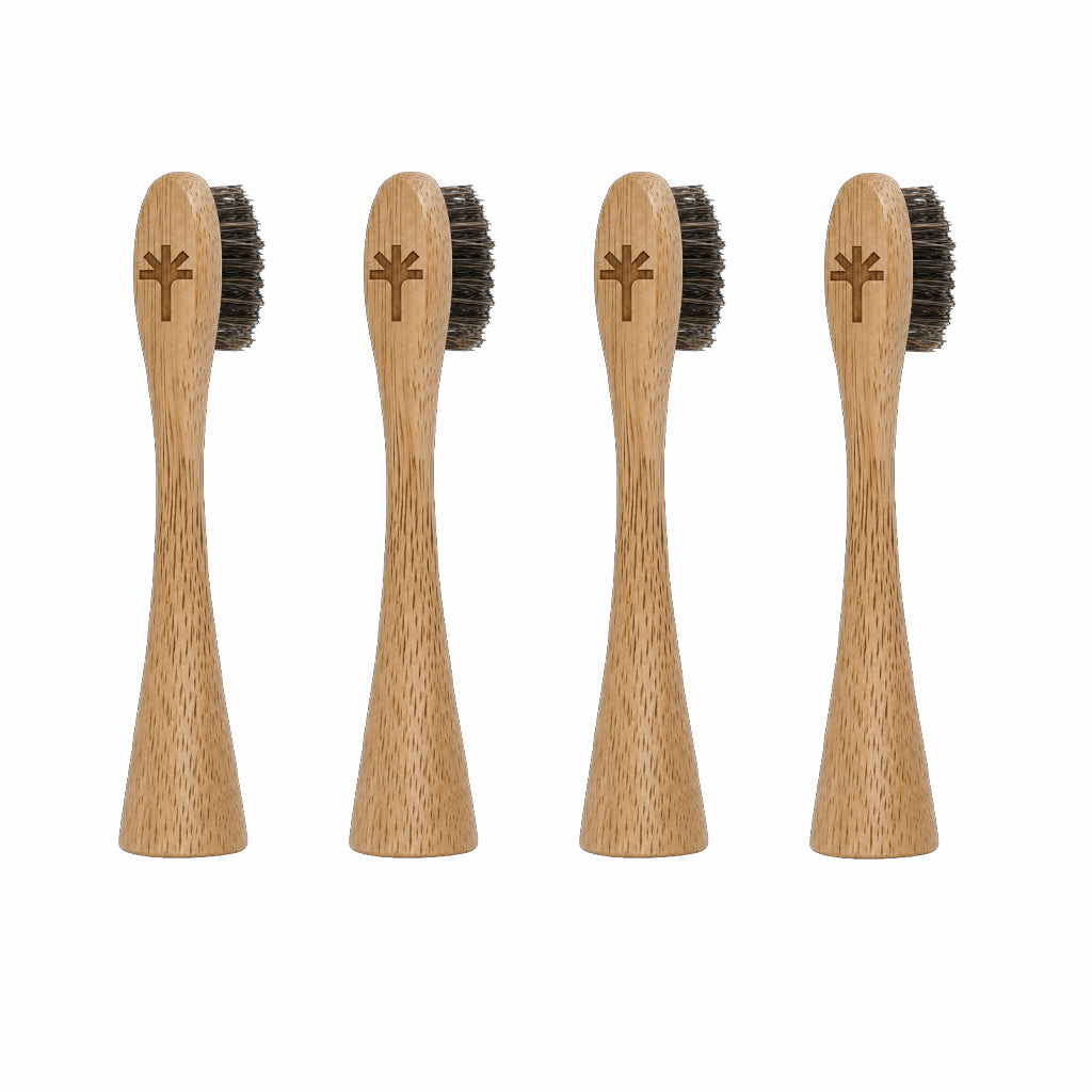 Horse Hair Bristle Bamboo Replacement Toothbrush Heads 4 Pack | Thallō