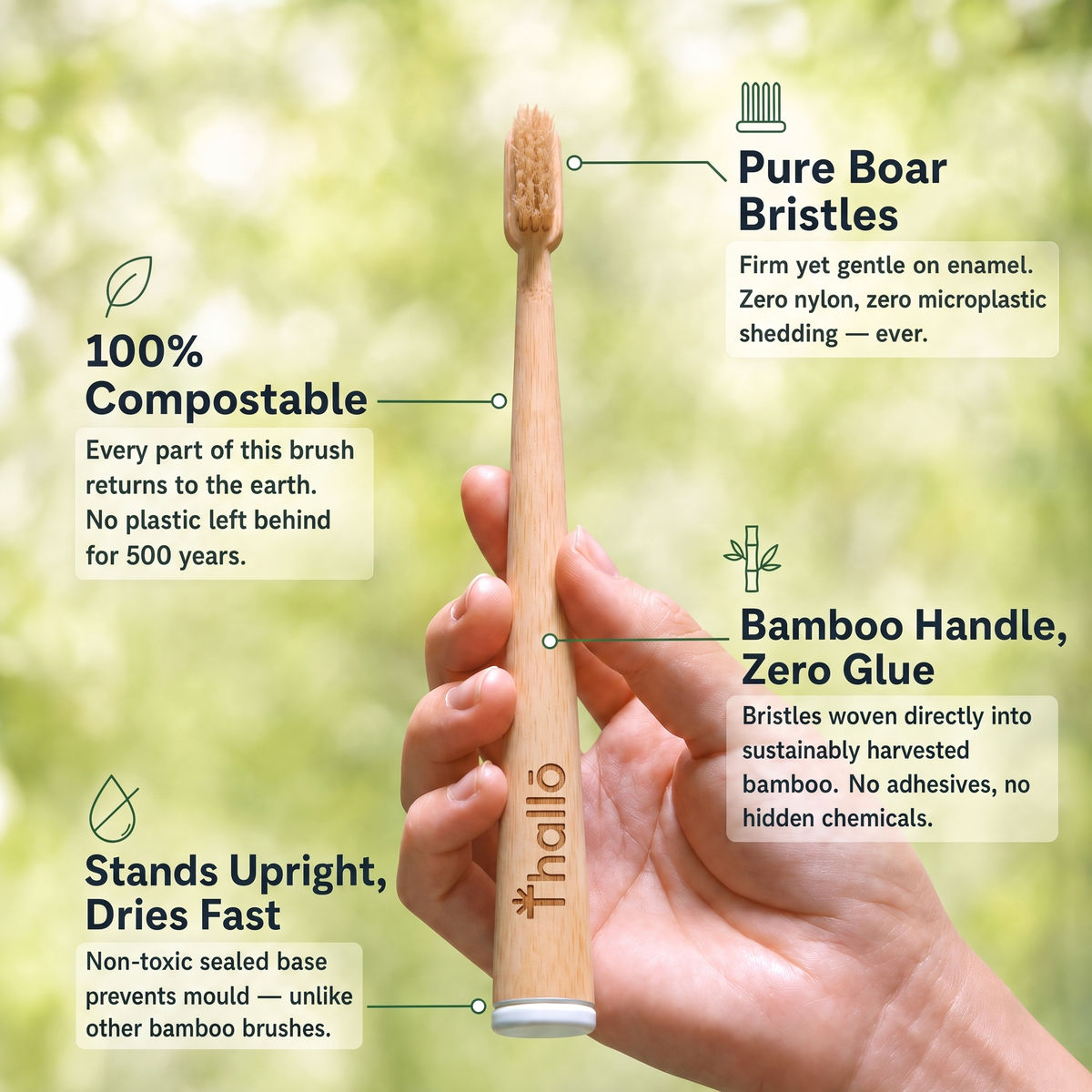 Boar or Horse Hair Bristle Bamboo Plastic Free Toothbrush