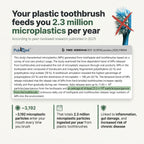 Boar or Horse Hair Bristle Bamboo Plastic Free Toothbrush