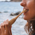 Electric Bamboo Toothbrush with Natural Boar Hair Bristles | Thallō