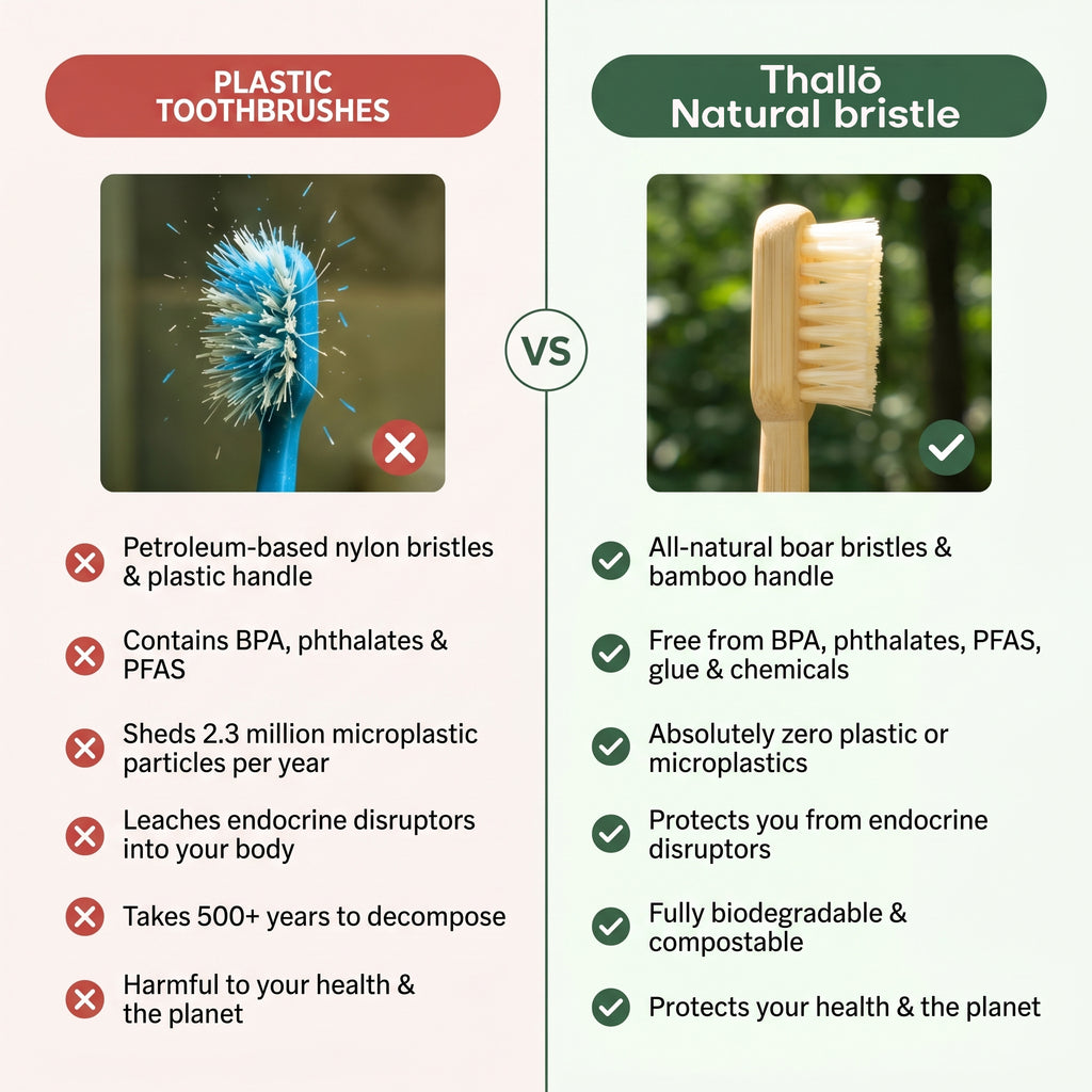 Boar or Horse Hair Bristle Bamboo Plastic Free Toothbrush