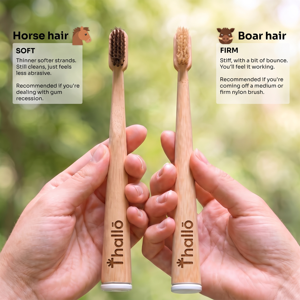 Boar or Horse Hair Bristle Bamboo Plastic Free Toothbrush