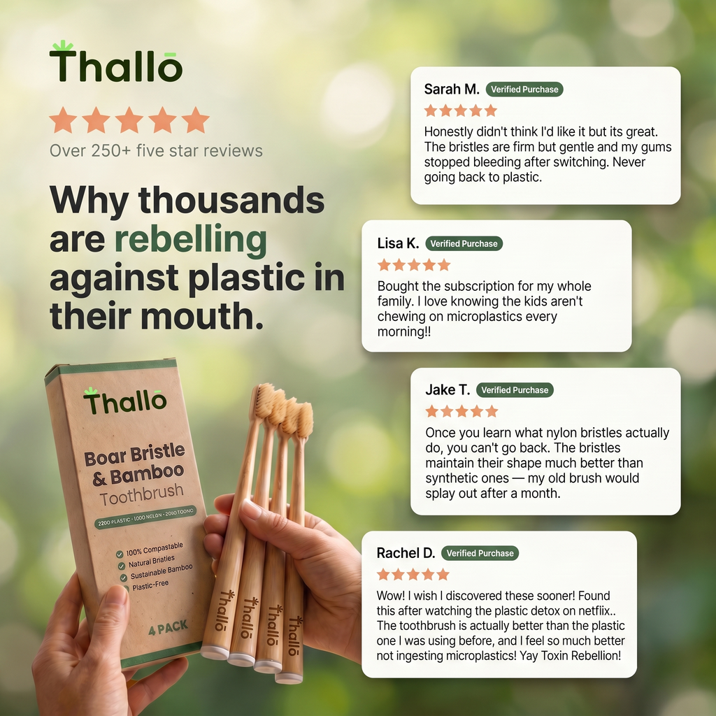 Boar or Horse Hair Bristle Bamboo Plastic Free Toothbrush