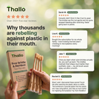 Boar or Horse Hair Bristle Bamboo Plastic Free Toothbrush